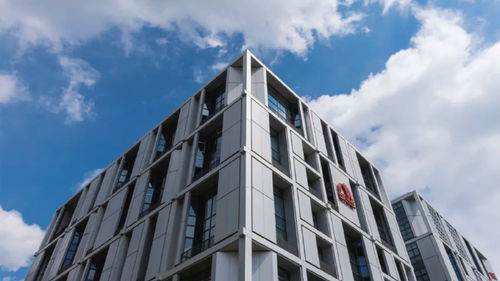 東方雨虹再度躋身2024全球建筑材料上市公司綜合實力排行榜，技術服務成核心競爭力