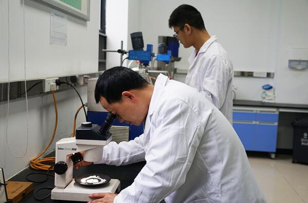 綿竹 搶占新質生產力“新賽道”，以技術開發驅動高質量發展加速度