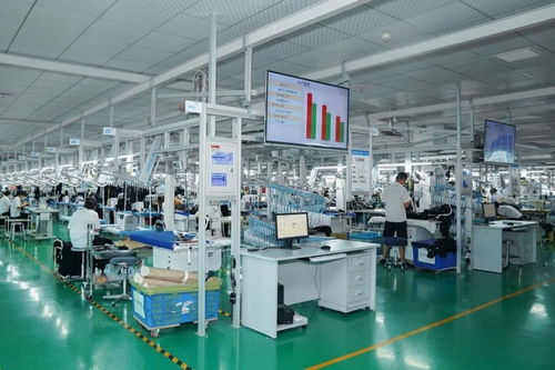 李婷 又要保就業(yè)又要數(shù)字化,服裝產業(yè)升級難在哪里